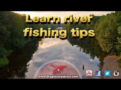 Fishing tips and tackle test: Matt Hayes Limited Edition 11/13/15 waggler rod.