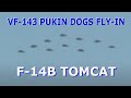 VF 143 PUKIN DOGS FLY IN