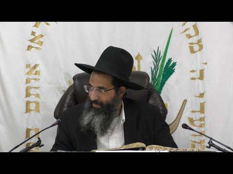הלכות כבוד רבו ותלמיד חכם - כ' - זהירות בכבוד חכמים | יורה דעה - סימן רמב | חלק 302 | הרב שי עובד