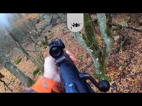 Lov Divlje Svinje - Wild Boar Hunting 24 🐗