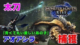 【MHRise】上位クエスト 太刀 アオアシラ：青くて丸い愛しいあの子「モンハンライズ」