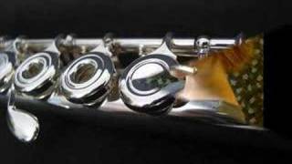 Debbie Gulino Flute Lessons