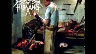 Carnage Of Humans - You die in my mind-Outro (DEMO 2007)