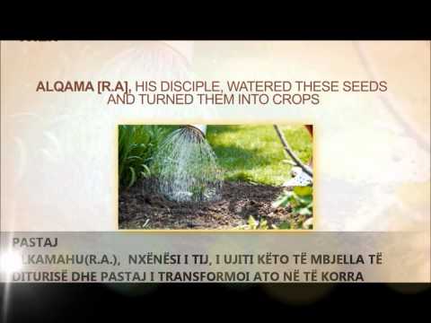 Evoluimi i Fikhut Hanefi