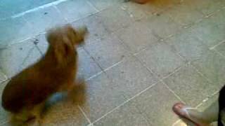 ultimo recuerdo nico.mp4