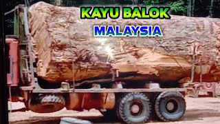Download lagu kerja tebang hutan/dunia kayu mp3 Download lagu kerja tebang hutan/dunia kayu mp3