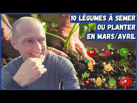 , title : '10 légumes à semer ou planter en mars/avril au potager !'
