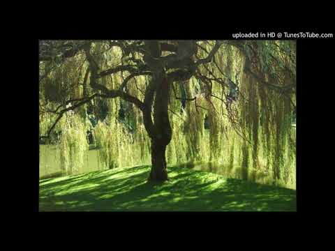 Calum Malcolm - Down by the Salley Gardens