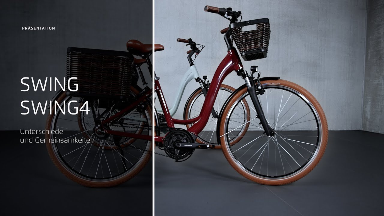 VTCAE Swing 4 vario silent (riese & muller) S/M