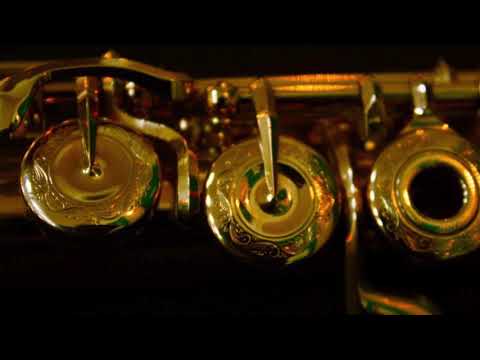 @ionbogdanstefanescu  Telemann - Sonata for two flutes VIII