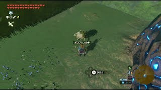 解説鉱石の無限増殖 ゼルダの伝説ブレスオブザワイルド أشهر موقع لمشاركة مقاطع الفيديو الموسيقية على الإنترنت