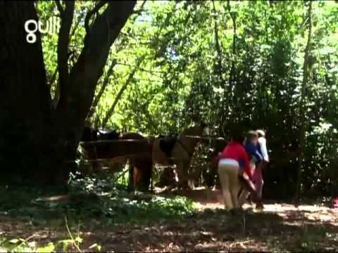 Grand Galop Saison 3 Episode 3   Le départ partie 2