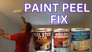 Fix Peeling Paint and Mold in High Moisture Rooms