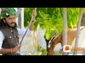 Chotu Shing Rawana New Song Status 2020