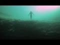 Krister Linder - Gone 