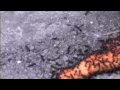 Ants ! [Tom Waits]
