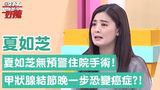 夏如芝無預警住院手術！健檢驚見「甲狀腺結節」晚一步就醫恐變癌症？！【醫師好辣】夏如芝 必看精彩片段