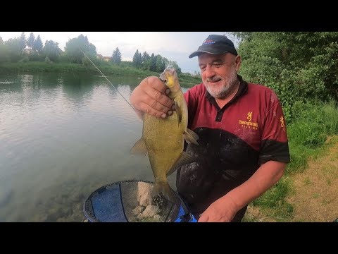 FEEDEROM na Kupi u Ozlju. Proljetni ribolov bijele ribe - Ninoslav Žagar