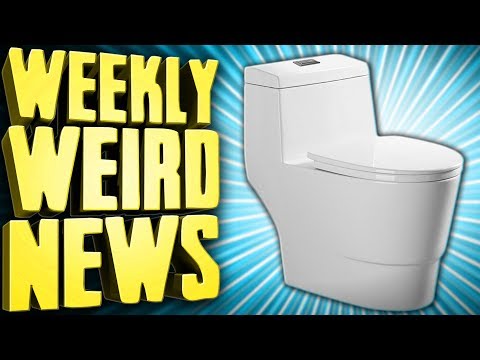 download lagu mp3 mp4 Dick Toilet, download mp3 Dick Toilet free download mp3, download mp3 Dick Toilet