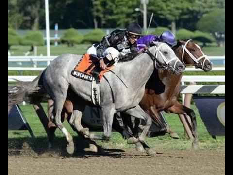 2013 Saratoga Special & Adirondack Stakes - NBC Broadcast
