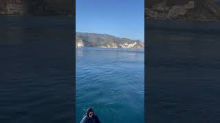 ВОПРОС ВРЕМЕНИ :)   #cruise