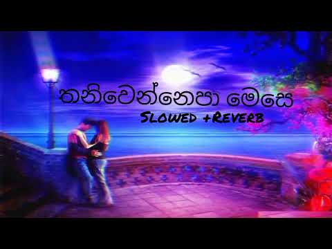 තනිවෙන්නෙපා මෙසේ 😀 slowed අහල බලමු