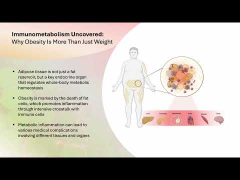CDG-Science-Slam 2025: Dying adipocytes and macrophages