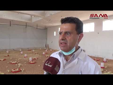 img-video