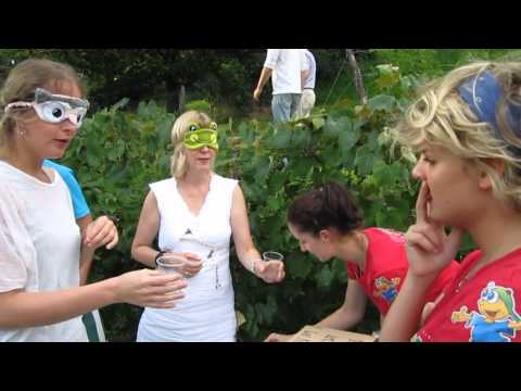 Platzerlfest 2. August 2012