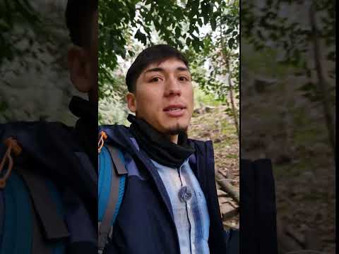 AVENTURA 44/100 🌳🍃No hace falta salir de Santiago para desconectarse de todo "El Bosque de Santiago"