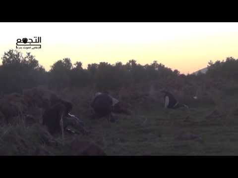 اشتباكات بين كتائب أكناف بيت المقدس وقوات النظام على سرية الميم ط في عين التينة في ريف القنيطرة