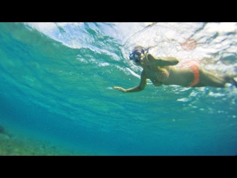 Maui • SNORKELING with sea turtles