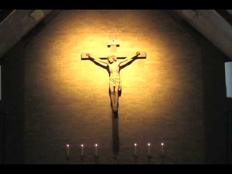 30 de Octubre 2011 Hagan lo que ellos dicen y no hagan lo que ellos hacen  4 de 4