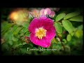 Pamela Mortensen -  Remember - Ambient Meditative Didgeridoo Music