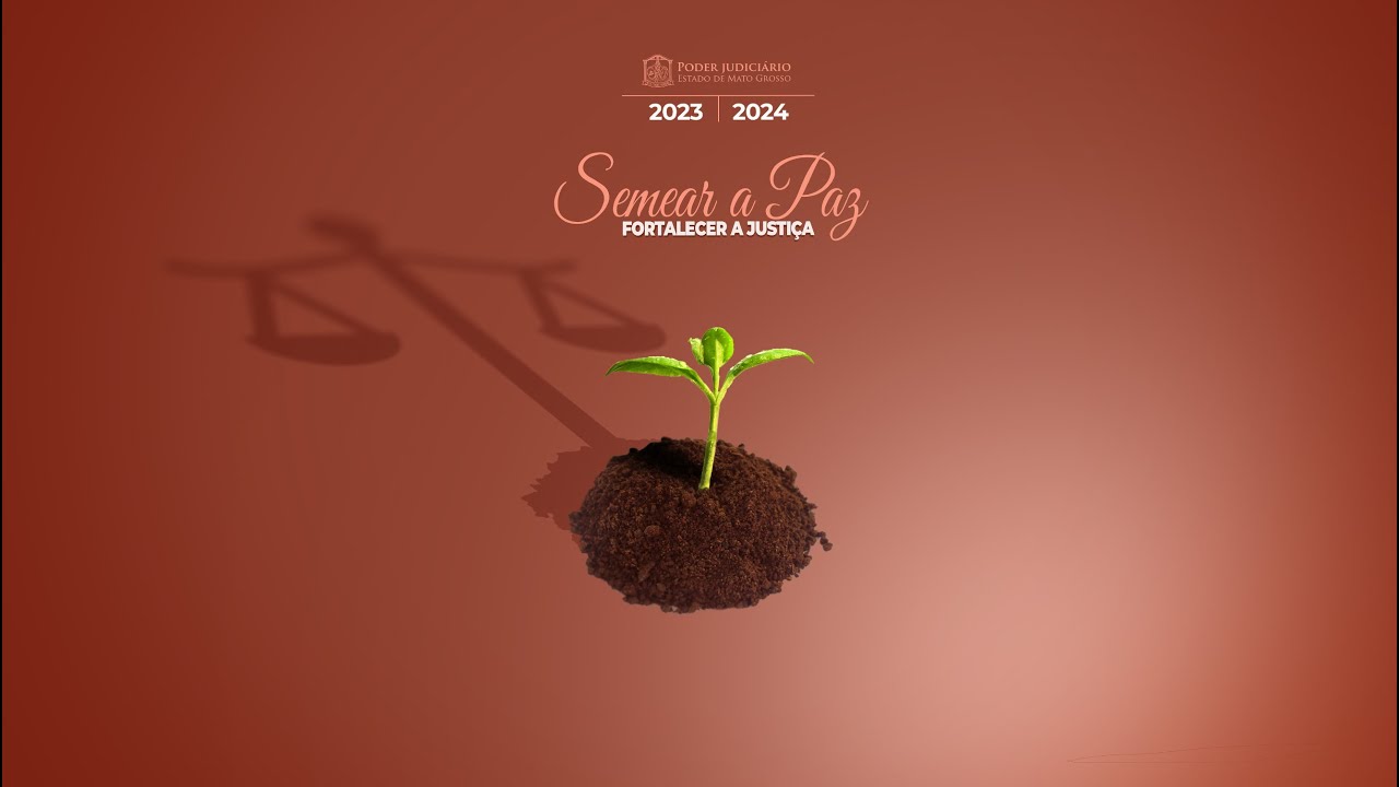 Sessão | Primeira Câmara Criminal | 29/10/2024