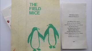 The Field Mice - I Wish I Meant More to You (Demo)