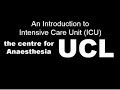 Basics Of The Intensive Care Unit