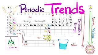 Periodic Trends - Atomic Radius, Electronegativity, Ionization Energy - Chemistry Series