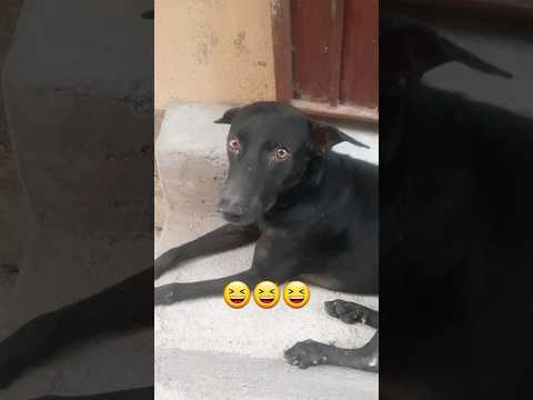 Adhu Gomathi akka elaa namba kari🤣🤣🤣 #doctorcomedy #funny