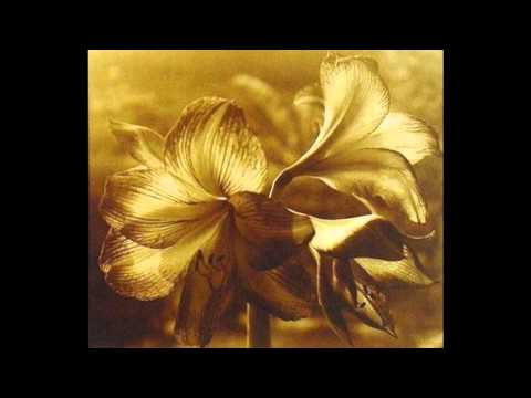 Rod - Tei atua tei fa'atupu