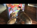 Payton Tries To Rescue Dora The Exlporer