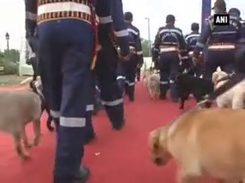 30 trained dogs inducted in Delhi Police dog squad