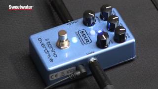 Video thumbnail for MXR Il Torino Overdrive Pedal Review by Sweetwater Sound by Sweetwater