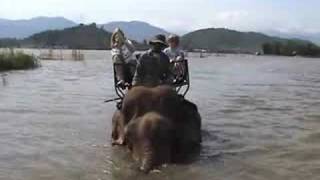 preview picture of video 'Elephant Riding in Vietnam'