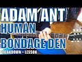 Adam Ant - Human Bondage Den - Guitar Tutorial