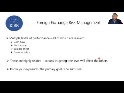 Corporate foreign exchange risk management