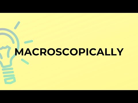 What is the meaning of the word MACROSCOPICALLY?