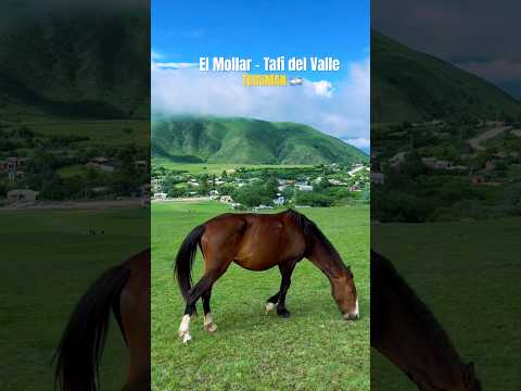 El Mollar - Tafi del Valle #tafídelvalle #tucumán