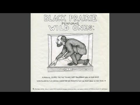 Video thumbnail for Dear Sir, Most Sincerely, William Temple Hornaday