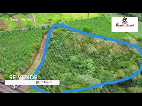 Imagen de Venta de Lotes y Terrenos en San roque - Grecia San Roque - ALAJUELA